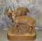 2 LIFESIZE BUSHBUCK ON 1 BASE (ONE$)