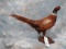 FULL BODY BRONZE RING NECK PHEASANT