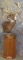 XL WHITETAIL PED TAXIDERMY