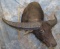 WATERBUFFALO SH MT TAXIDERMY