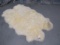 XL WHITE SHEEP HIDE  TAXIDERMY