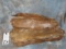 100 EEL SKINS TANNED (1X$)