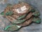 3 ALUMINUM SEA TURTLES (3x$)  TAXIDERMY