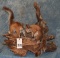 2 LIFESIZE ALBERT SQUIRRELS ON LOG TAXIDERMY