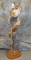 EXTREMELY UNIQUE COUGAR PEDESTAL TAXIDERMY