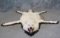 FELTED BEAUTIFUL ARCTIC WOLF RUG