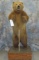 LIFESIZE STANDING BROWN BEAR TAXIDERMY