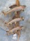 3 ARCTIC REAL SKIN GRAYLINGS FISH (ONE $) TAXIDERMY