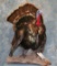 LIFESIZE STRUTING TURKEY MOUNT TAXIDERMY