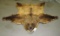 VERY PRETTY BLONDE GRIZZLY BEAR RUG TAXIDERMY