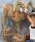 LIFESIZE DESERT SHEEP TAXIDERMY