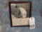 AZ FRAME LIS. PROSTITUTE PICTURE