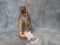 LIFESIZE FISHING SQUIRREL  TAXIDERMY