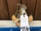 CUTE LITTLE PINE SQUIRREL IN A CANOE TAXIDERMY