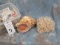 5 SEASHELLS ASSORTMENT