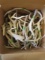 30LBS OF ANTLERS   TAXIDERMY