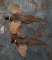 2 RINGNECK PHEASANTS (2X$) TAXIDERMY