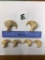 6 AFRICAN LION CLAWS (6x$) (TX RES)  TAXIDERMY