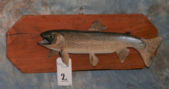 RAINBOW TROUT TAXIDERMY