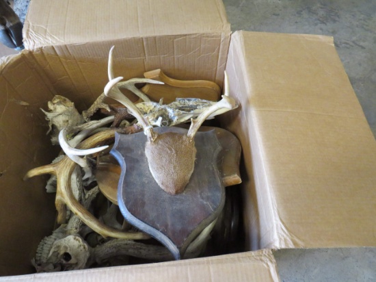 30LBS OF MISC ANTLERS ON PLAQUES  TAXIDERMY