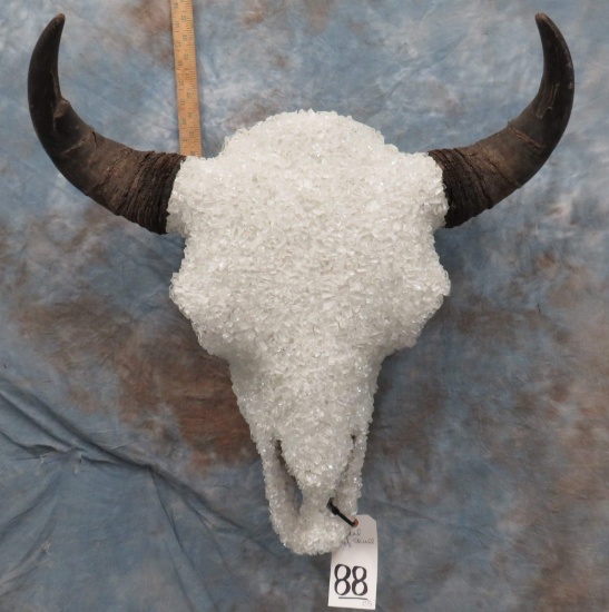 CRYSTAL BUFFALO SKULL  TAXIDERMY