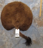 BUFFALO BUTT TAXIDERMY