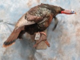 FULL BODY TURKEY ON A LIMB