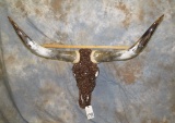 BROWN CRYSTAL LONGHORN SKULL TAXIDERMY