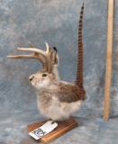 ONE-OF-A-KIND LIFESIZE SNIPE