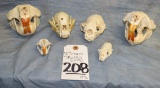 6 SMALL SKULLS (6x$)  TAXIDERMY