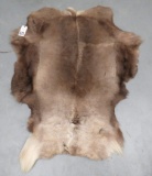 CARIBOU HIDE  TAXIDERMY