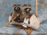 2 RACCOONS IN A CANOE  TAXIDERMY