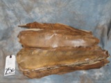 100 EEL SKINS TANNED (1X$)