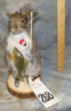 FISHING SQUIRREL TAXIDERMY