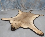 LIONESS RUG (TX RES)
