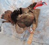 LIFESIZE TURKEY ON BRANCH  TAXIDERMY