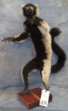 LIFESIZE LEMUR (TX RES) FROM JOHN BROMMEL'S COLLECTION