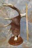 CARVED MOOSE HORN W STAND TAXIDERMY
