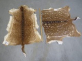 2 AXIS HIDES (2X$) TAXIDERMY