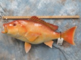 REPRO RED SNAPPER