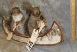 2 SQUIRRELS IN A CANOE TAXIDERMY