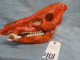 HAND CARVED WARTHOG SKULL  TAXIDERMY