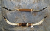 2 SETS  OF MOUNTED STEERHORNS (2X$) TAXIDERMY