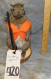 HUNTING SQUIRREL TAXIDERMY