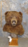 XL GRIZZLEY BEAR HEAD ON PED TAXIDERMY