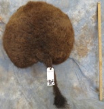 BUFFALO BUTT  TAXIDERMY