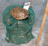 BAG OF 30 TURTLE SHELLS (ONE$)