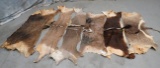 WILDA BEAST, HARTBEAST, SABLE, WATERBUCK, KUDU, ALL  BACK HIDES  (6X$)