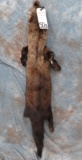 FISHER LIFESIZE W/LEGS & PAWS