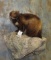 LIFESIZE WOLVERINE TAXIDERMY